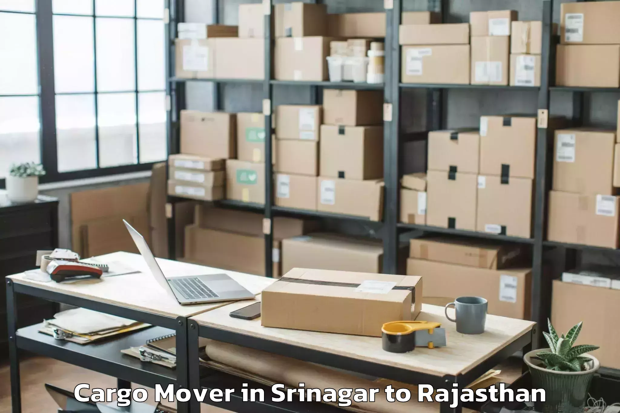 Reliable Srinagar to Rajakhera Cargo Mover